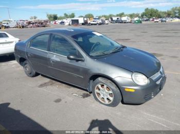  Salvage Dodge Neon