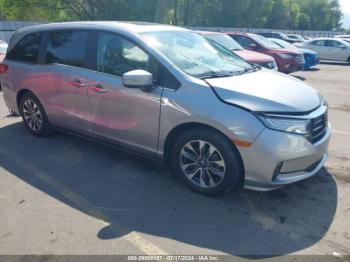  Salvage Honda Odyssey