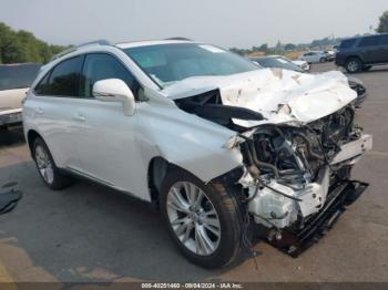  Salvage Lexus RX