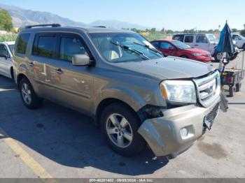  Salvage Honda Pilot