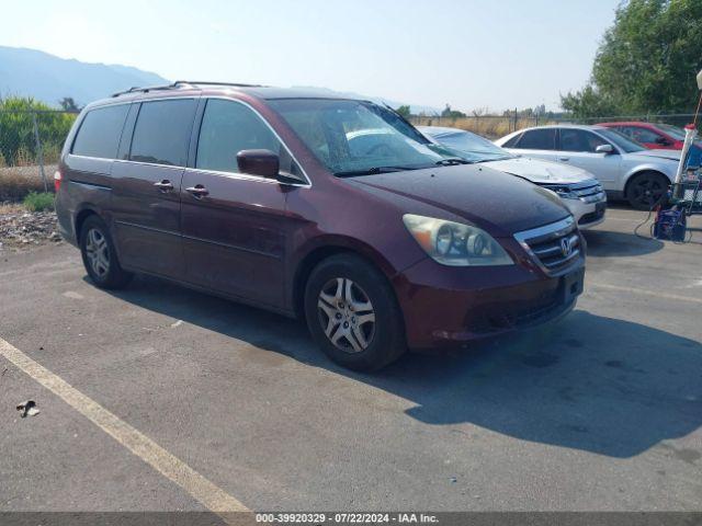  Salvage Honda Odyssey