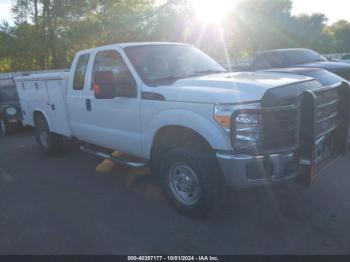  Salvage Ford F-250