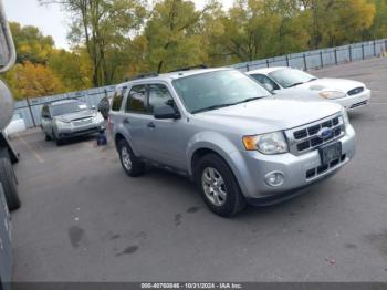  Salvage Ford Escape