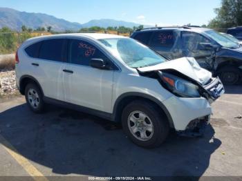  Salvage Honda CR-V