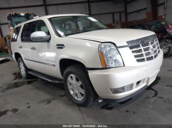  Salvage Cadillac Escalade