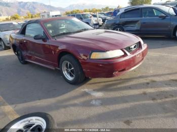  Salvage Ford Mustang