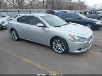  Salvage Nissan Maxima