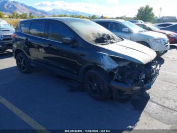  Salvage Ford Escape