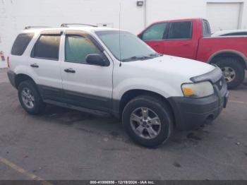  Salvage Ford Escape