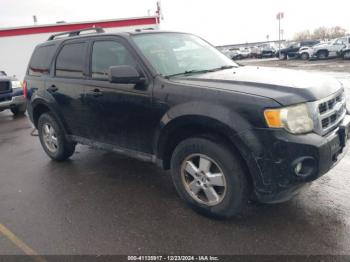  Salvage Ford Escape