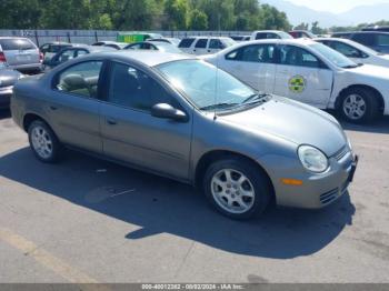  Salvage Dodge Neon