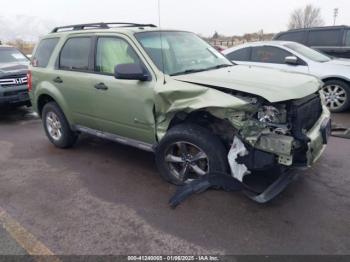  Salvage Ford Escape