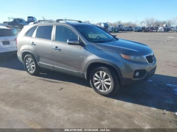  Salvage Kia Sorento