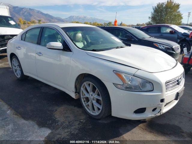  Salvage Nissan Maxima