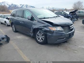  Salvage Honda Odyssey