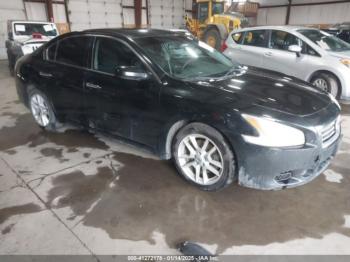  Salvage Nissan Maxima