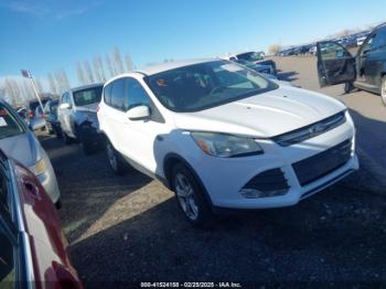  Salvage Ford Escape