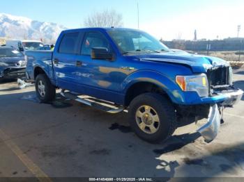  Salvage Ford F-150