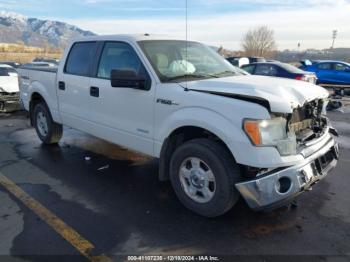  Salvage Ford F-150