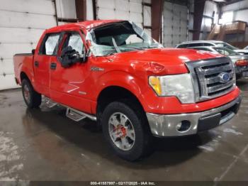  Salvage Ford F-150