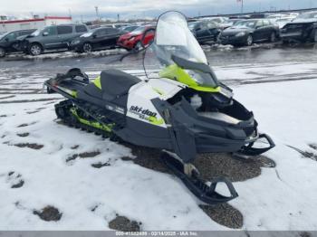  Salvage Ski-doo Tundra