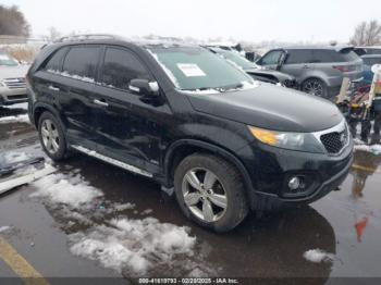  Salvage Kia Sorento