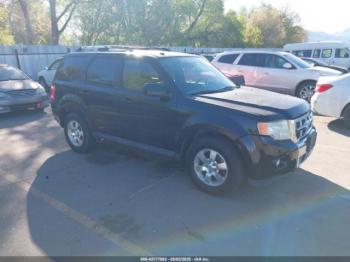  Salvage Ford Escape