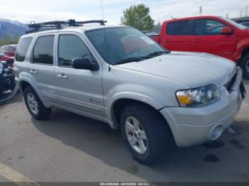  Salvage Ford Escape