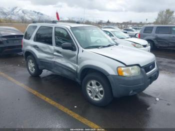  Salvage Ford Escape
