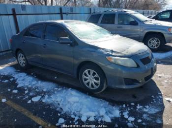  Salvage Toyota Corolla
