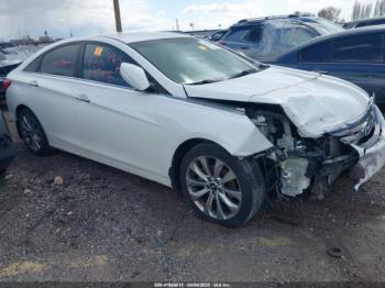 Salvage Hyundai SONATA