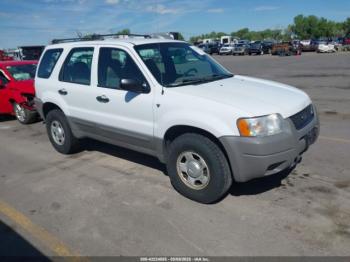  Salvage Ford Escape