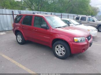  Salvage Ford Escape