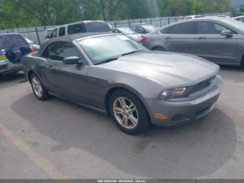  Salvage Ford Mustang