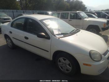  Salvage Dodge Neon