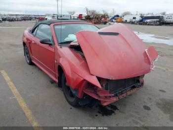  Salvage Ford Mustang