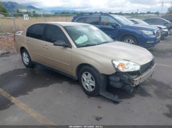  Salvage Chevrolet Malibu
