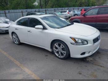  Salvage Nissan Maxima