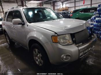  Salvage Ford Escape