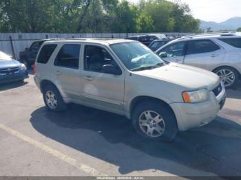  Salvage Ford Escape