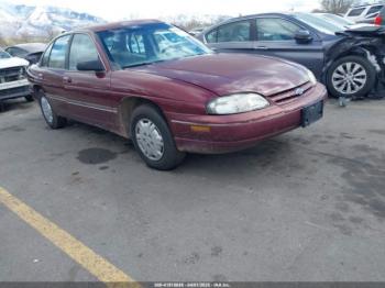  Salvage Chevrolet Lumina