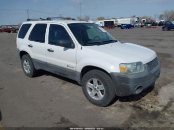  Salvage Ford Escape