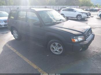 Salvage Subaru Forester