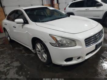  Salvage Nissan Maxima