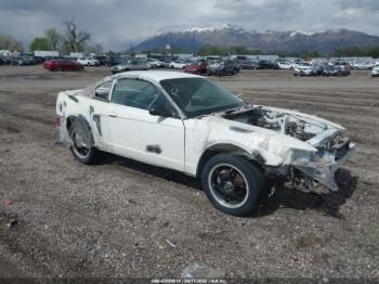  Salvage Ford Mustang