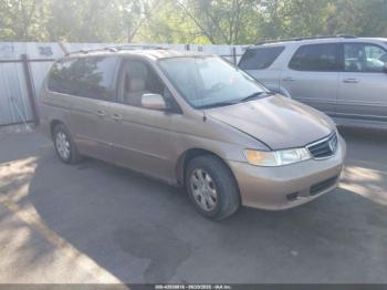  Salvage Honda Odyssey