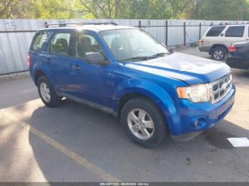  Salvage Ford Escape