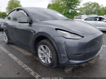  Salvage Tesla Model Y
