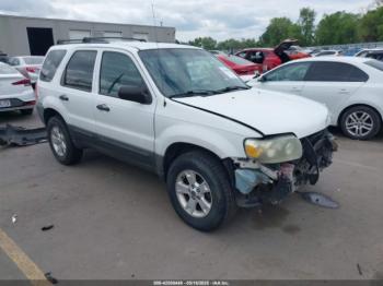  Salvage Ford Escape