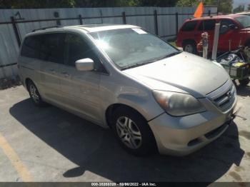  Salvage Honda Odyssey